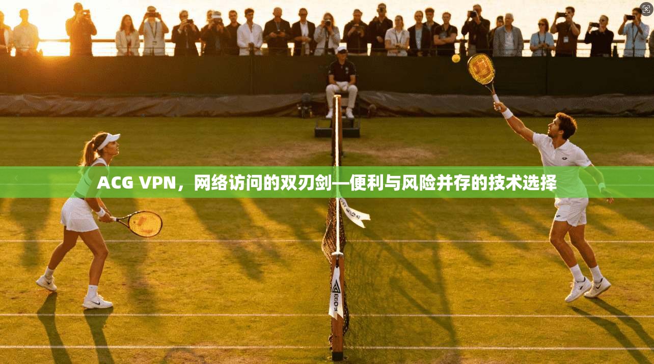 ACG VPN，网络访问的双刃剑—便利与风险并存的技术选择