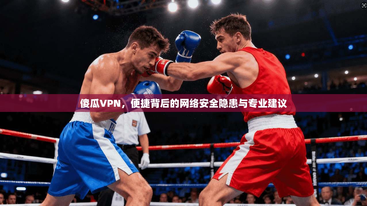 傻瓜VPN，便捷背后的网络安全隐患与专业建议