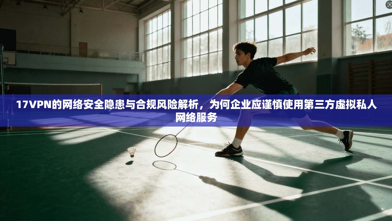 17VPN的网络安全隐患与合规风险解析，为何企业应谨慎使用第三方虚拟私人网络服务