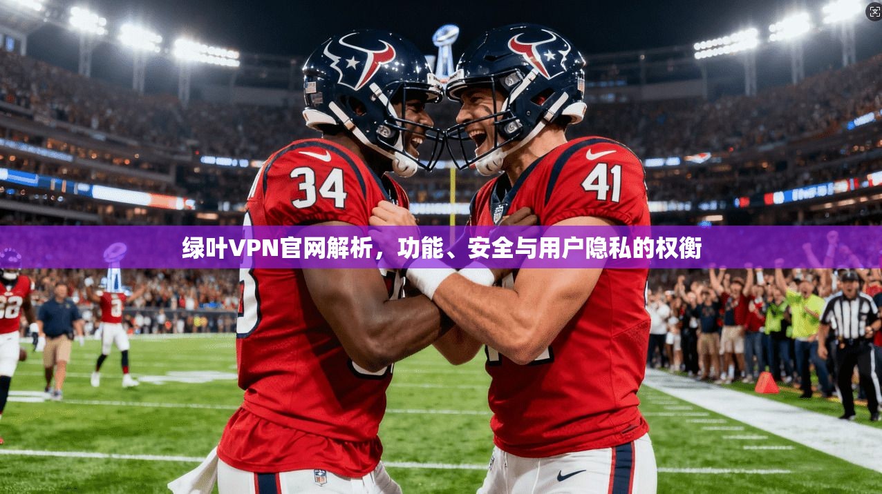绿叶VPN官网解析，功能、安全与用户隐私的权衡