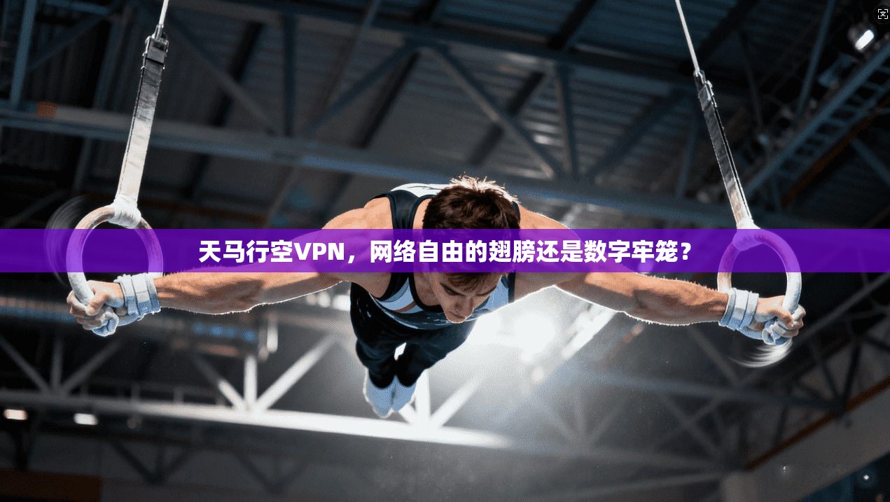 天马行空VPN，网络自由的翅膀还是数字牢笼？