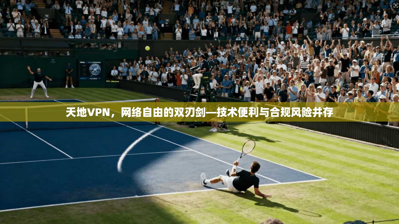 天地VPN，网络自由的双刃剑—技术便利与合规风险并存