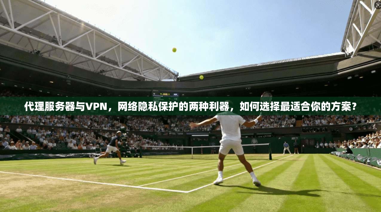代理服务器与VPN，网络隐私保护的两种利器，如何选择最适合你的方案？