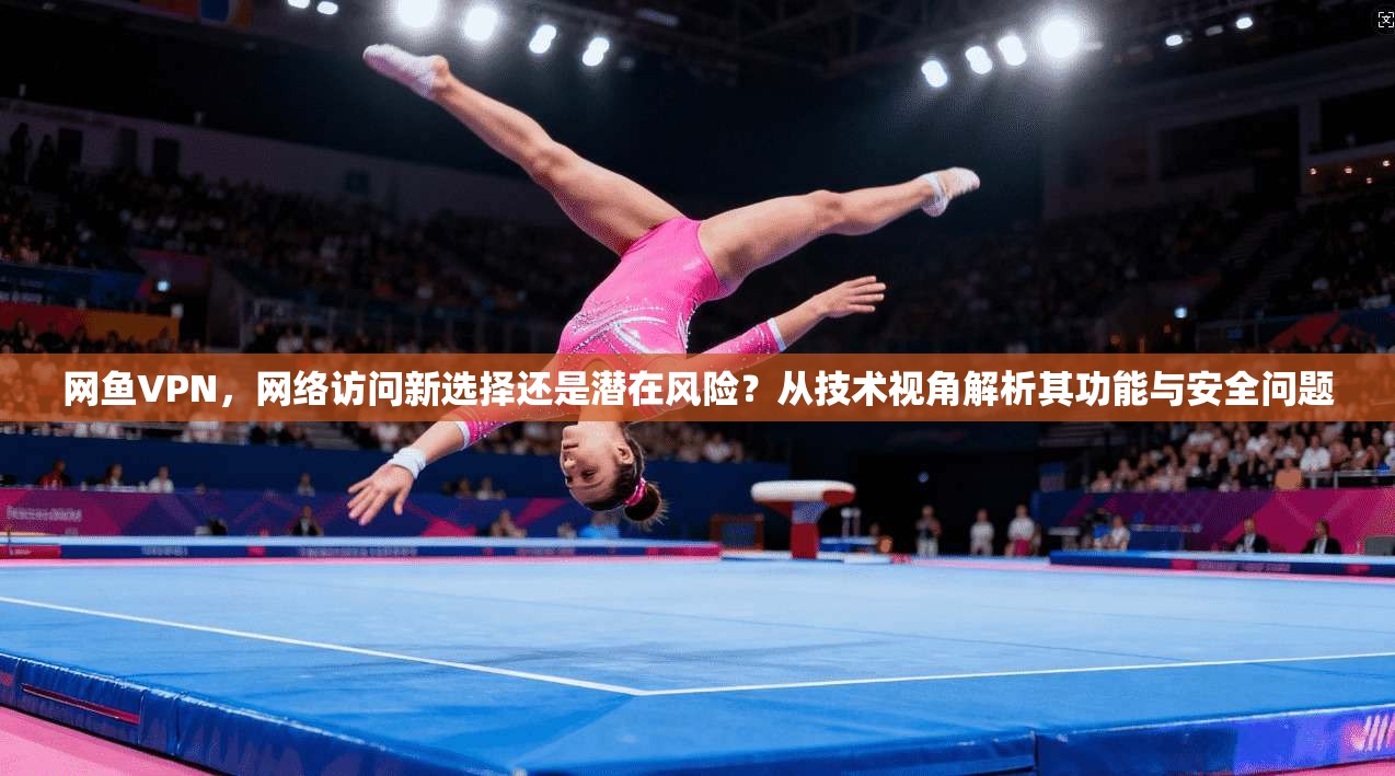 网鱼VPN，网络访问新选择还是潜在风险？从技术视角解析其功能与安全问题