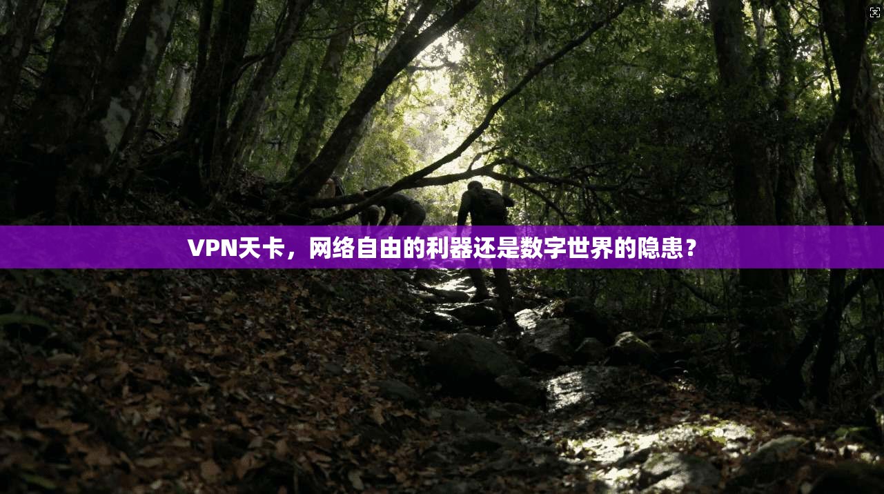 VPN天卡，网络自由的利器还是数字世界的隐患？