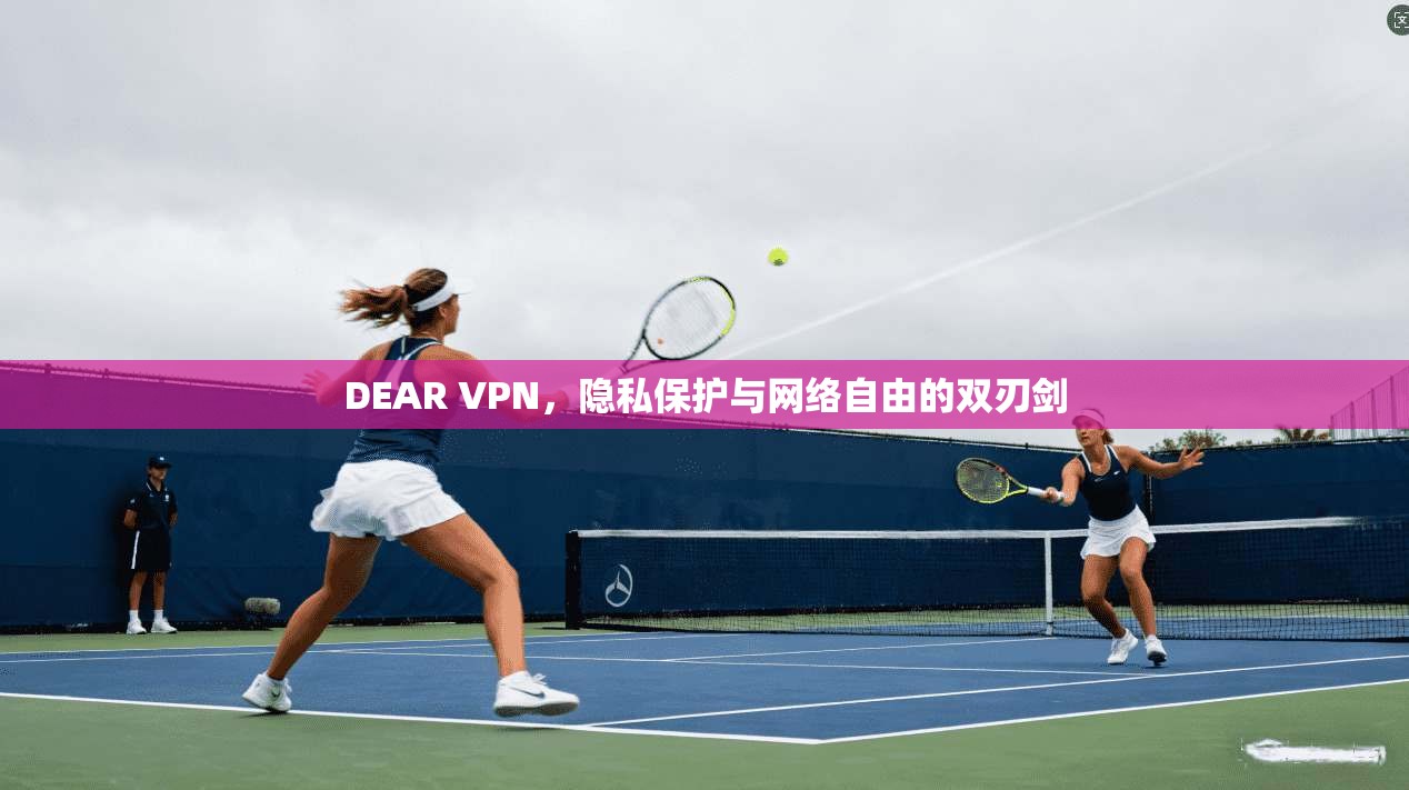 DEAR VPN，隐私保护与网络自由的双刃剑