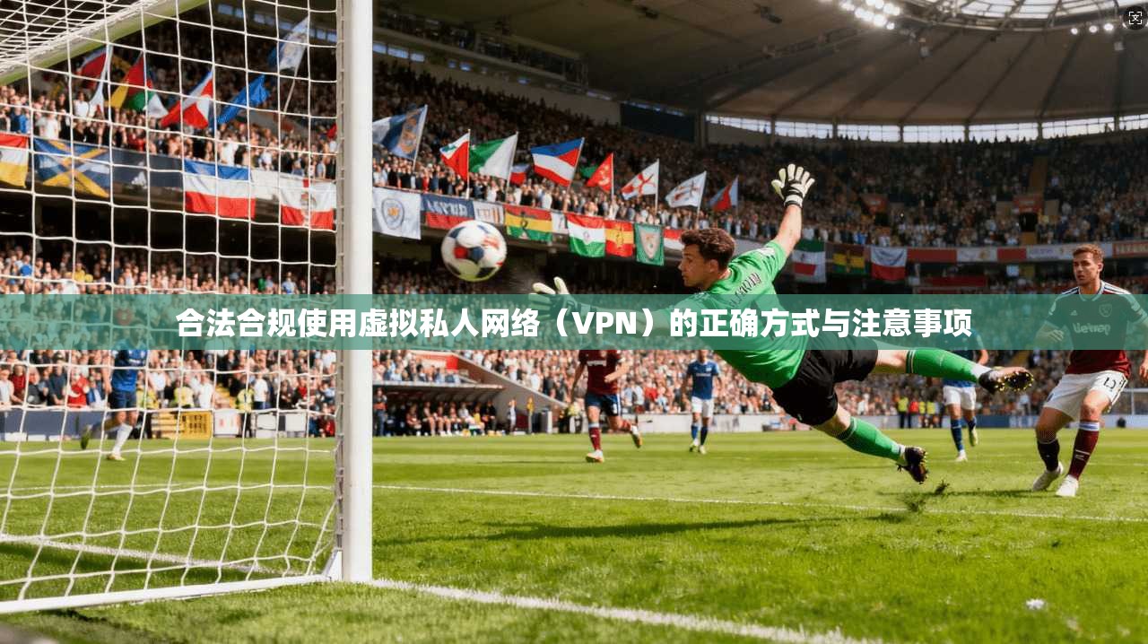 合法合规使用虚拟私人网络(VPN)的正确方式与注意事项 合法合规使用虚拟私人网络(VPN)的正确方式与注意事项