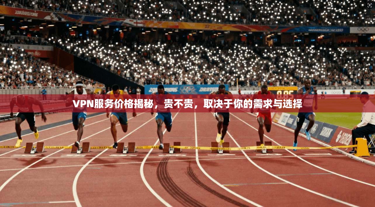 VPN服务价格揭秘，贵不贵，取决于你的需求与选择