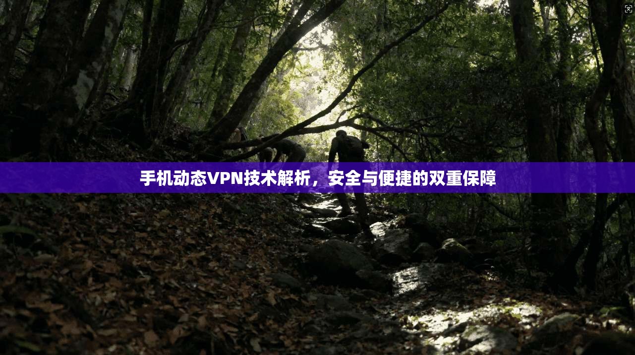 手机动态VPN技术解析，安全与便捷的双重保障