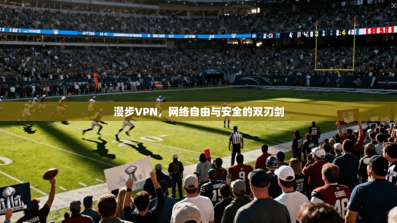 漫步VPN，网络自由与安全的双刃剑