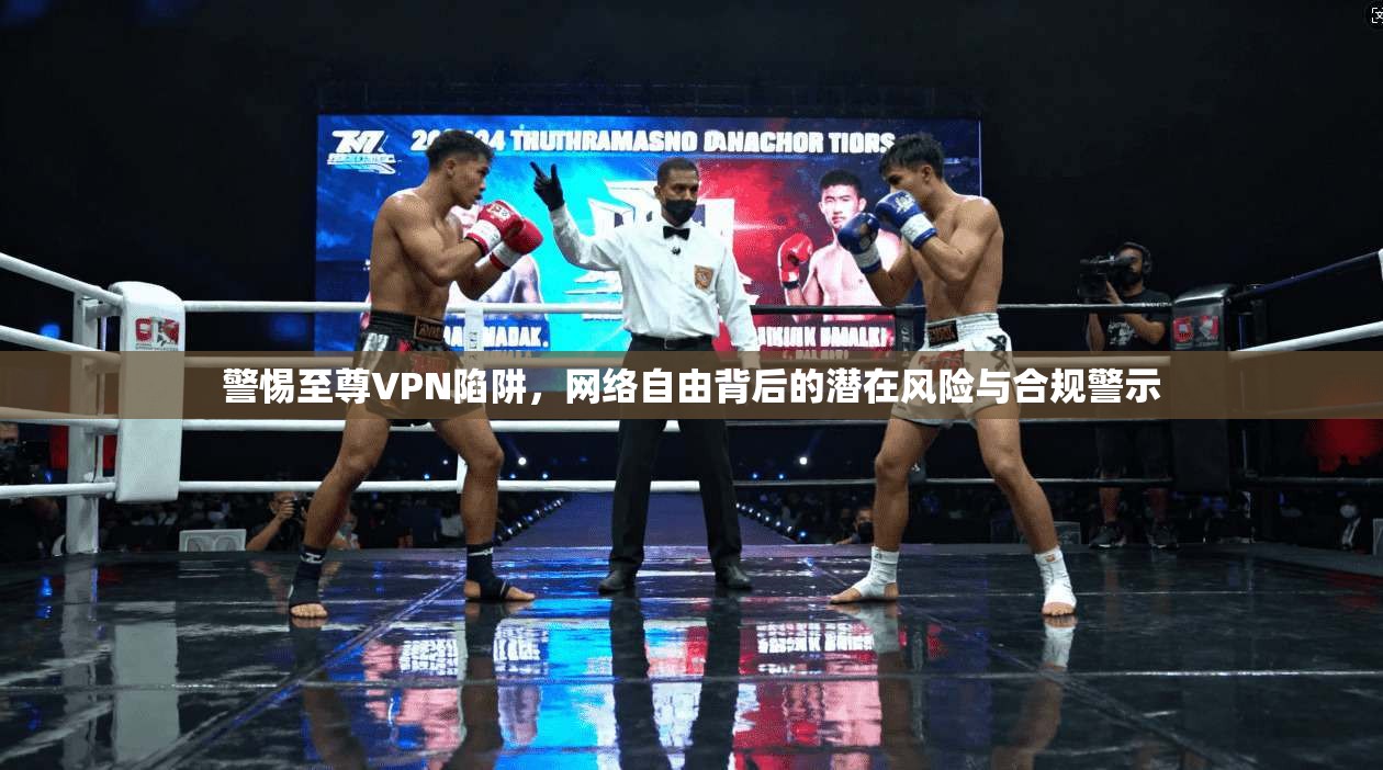 警惕至尊VPN陷阱，网络自由背后的潜在风险与合规警示