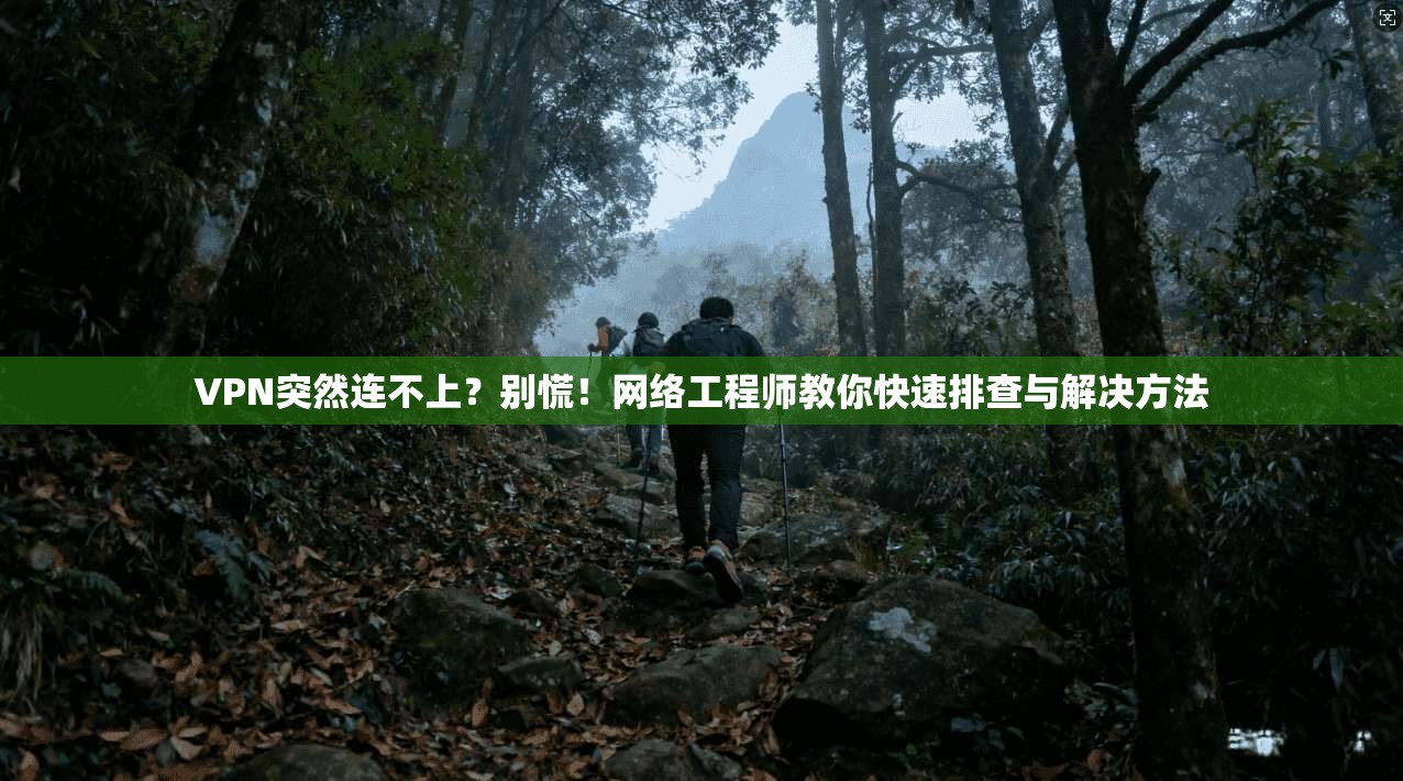 VPN突然连不上？别慌！网络工程师教你快速排查与解决方法