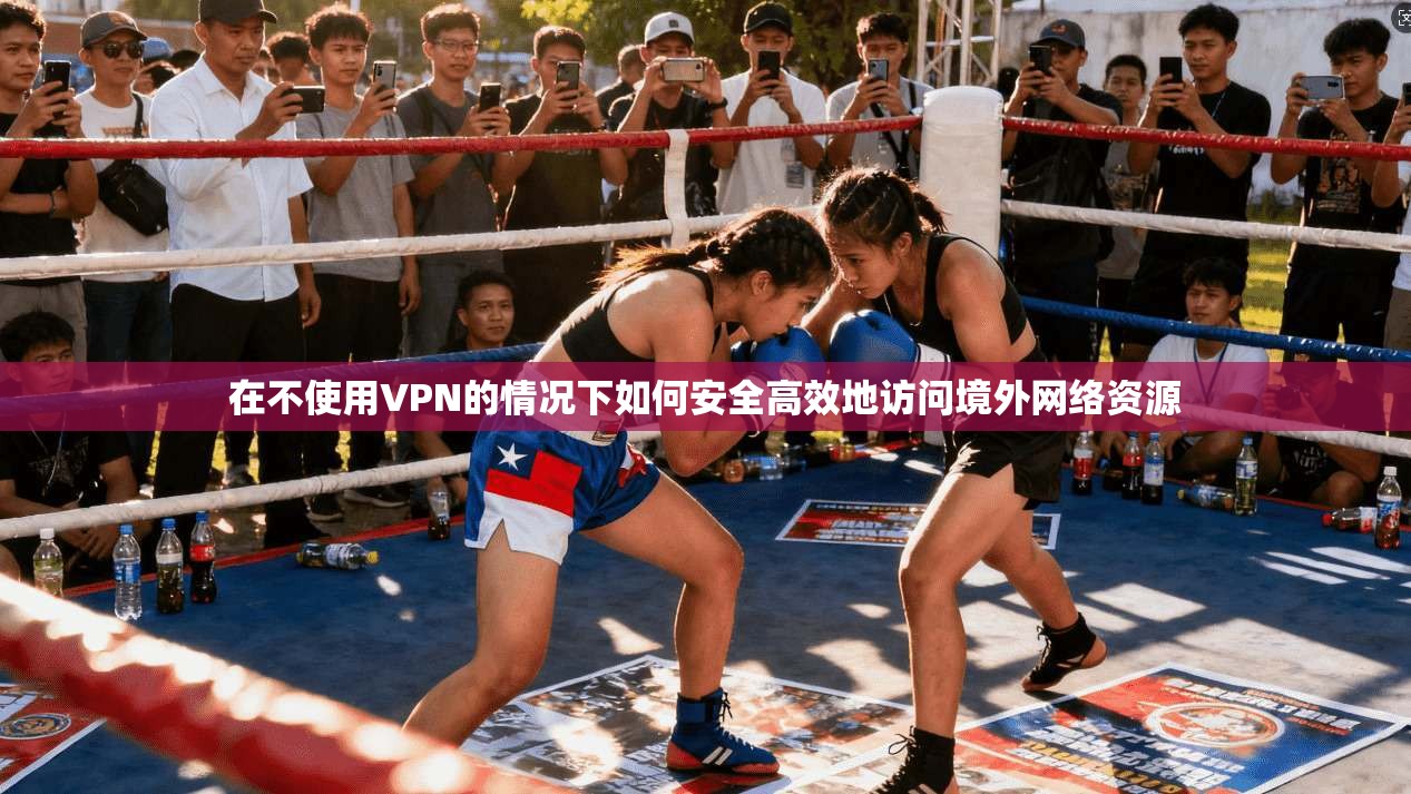 在不使用VPN的情况下如何安全高效地访问境外网络资源