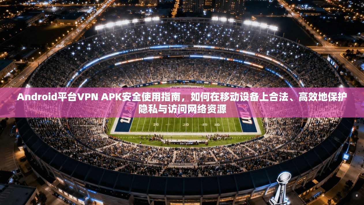 Android平台VPN APK安全使用指南，如何在移动设备上合法、高效地保护隐私与访问网络资源