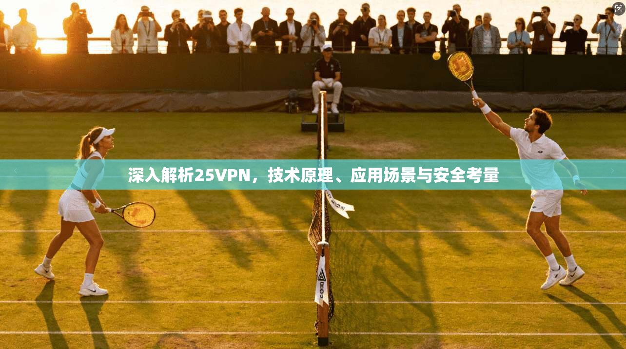 深入解析25VPN,技术原理、应用场景与安全考量 深入解析25VPN,技术原理、应用场景与安全考量