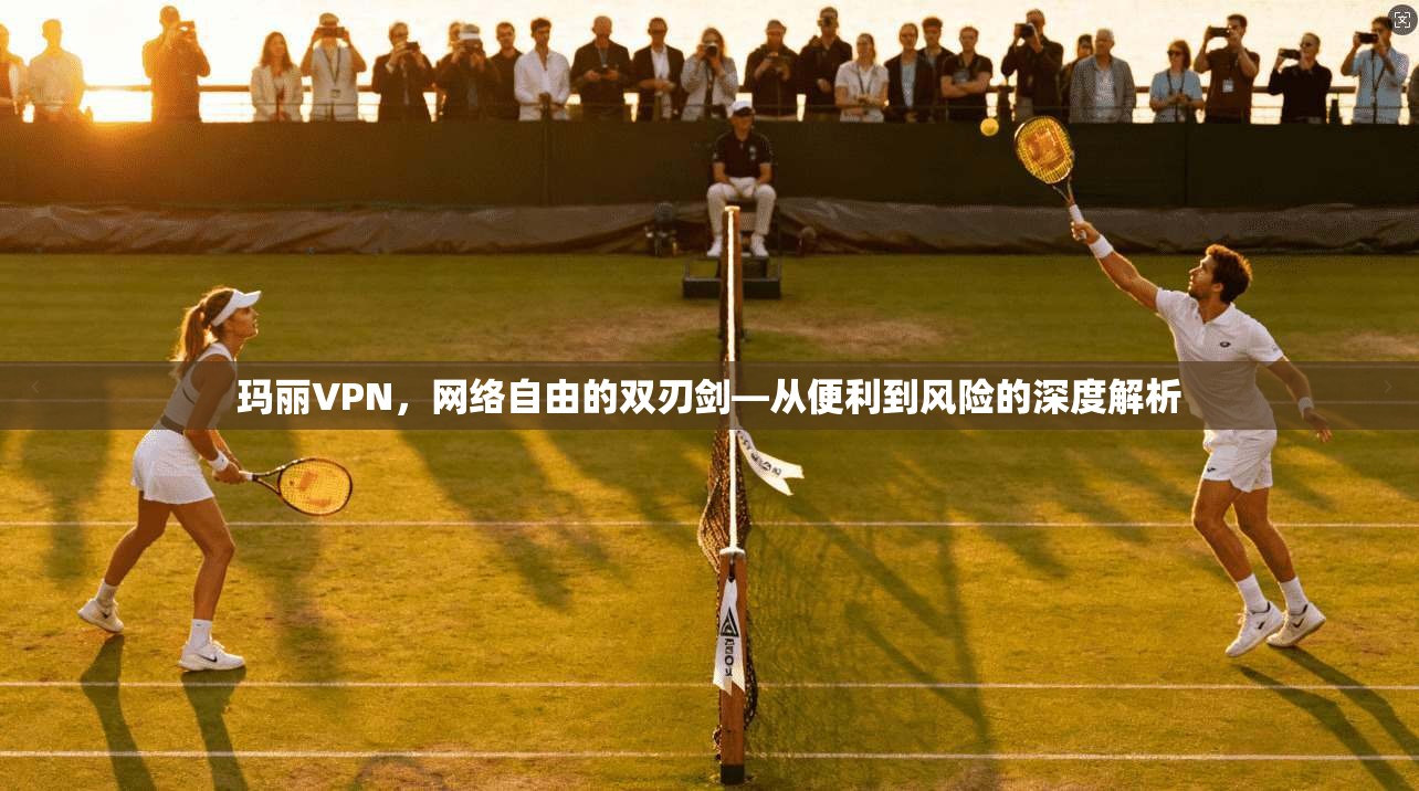 玛丽VPN,网络自由的双刃剑—从便利到风险的深度解析 玛丽VPN,网络自由的双刃剑—从便利到风险的深度解析