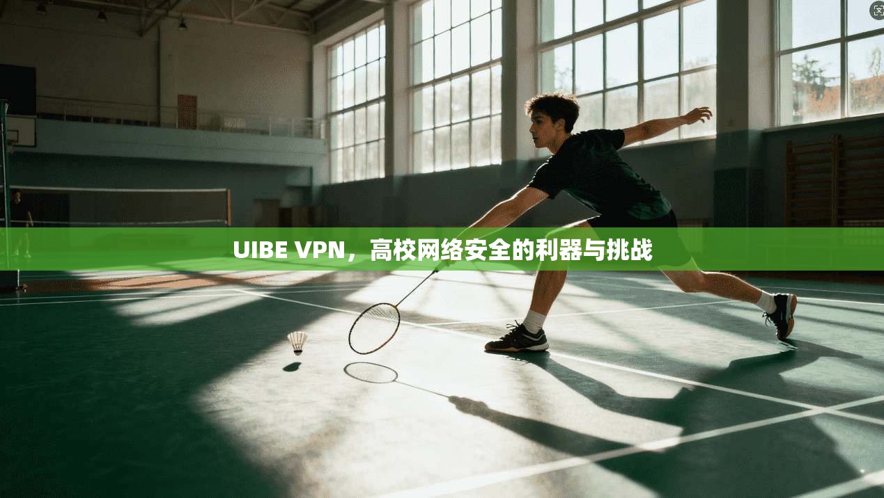UIBE VPN，高校网络安全的利器与挑战