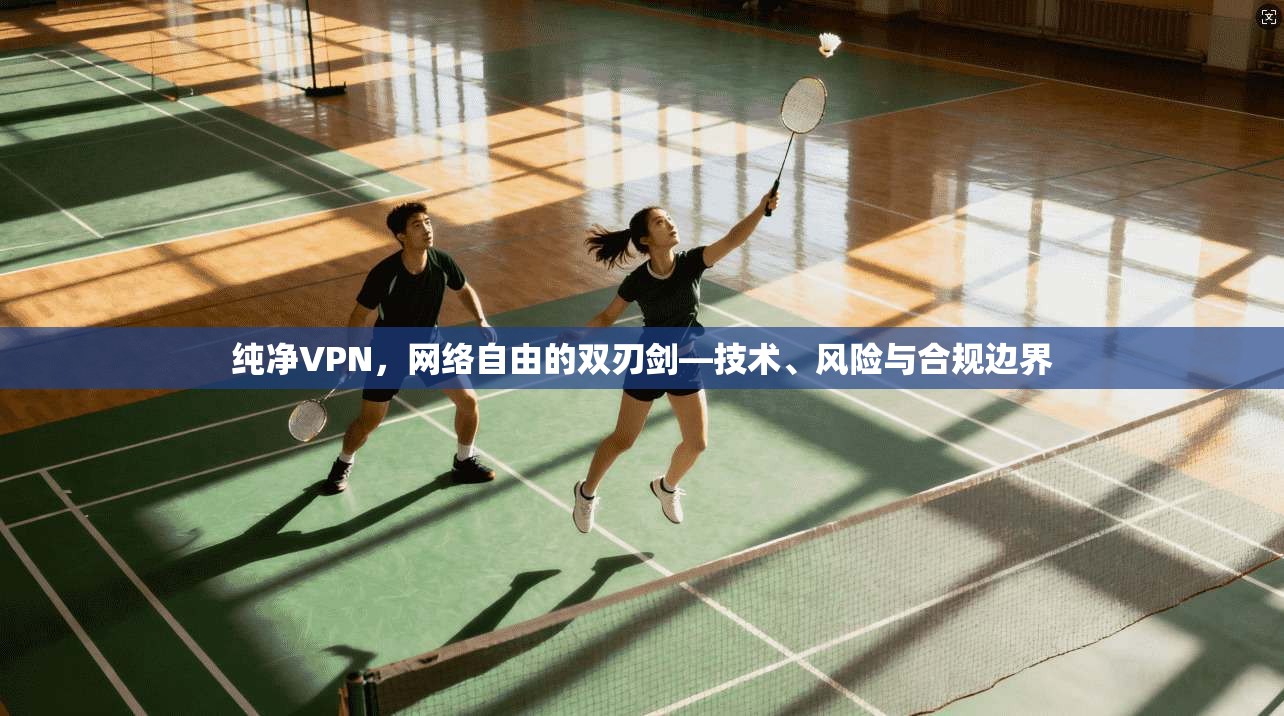 纯净VPN，网络自由的双刃剑—技术、风险与合规边界