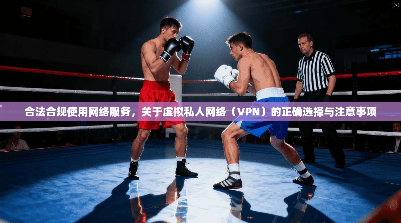 合法合规使用网络服务，关于虚拟私人网络（VPN）的正确选择与注意事项