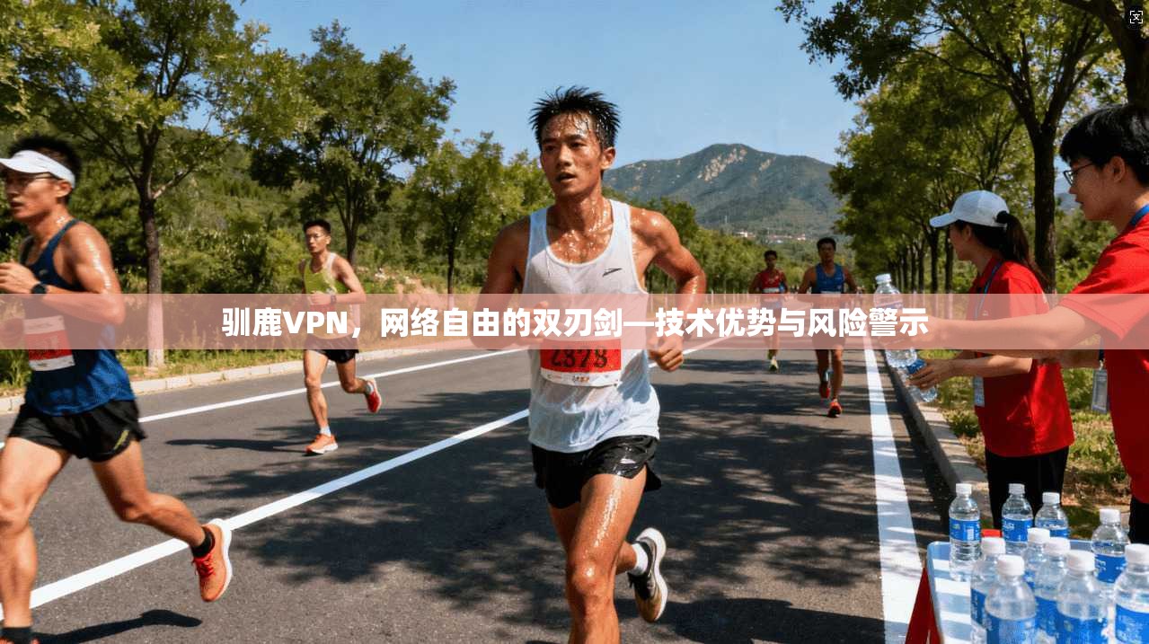 驯鹿VPN，网络自由的双刃剑—技术优势与风险警示