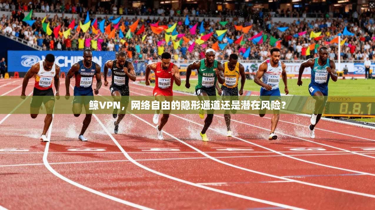 鲸VPN，网络自由的隐形通道还是潜在风险？