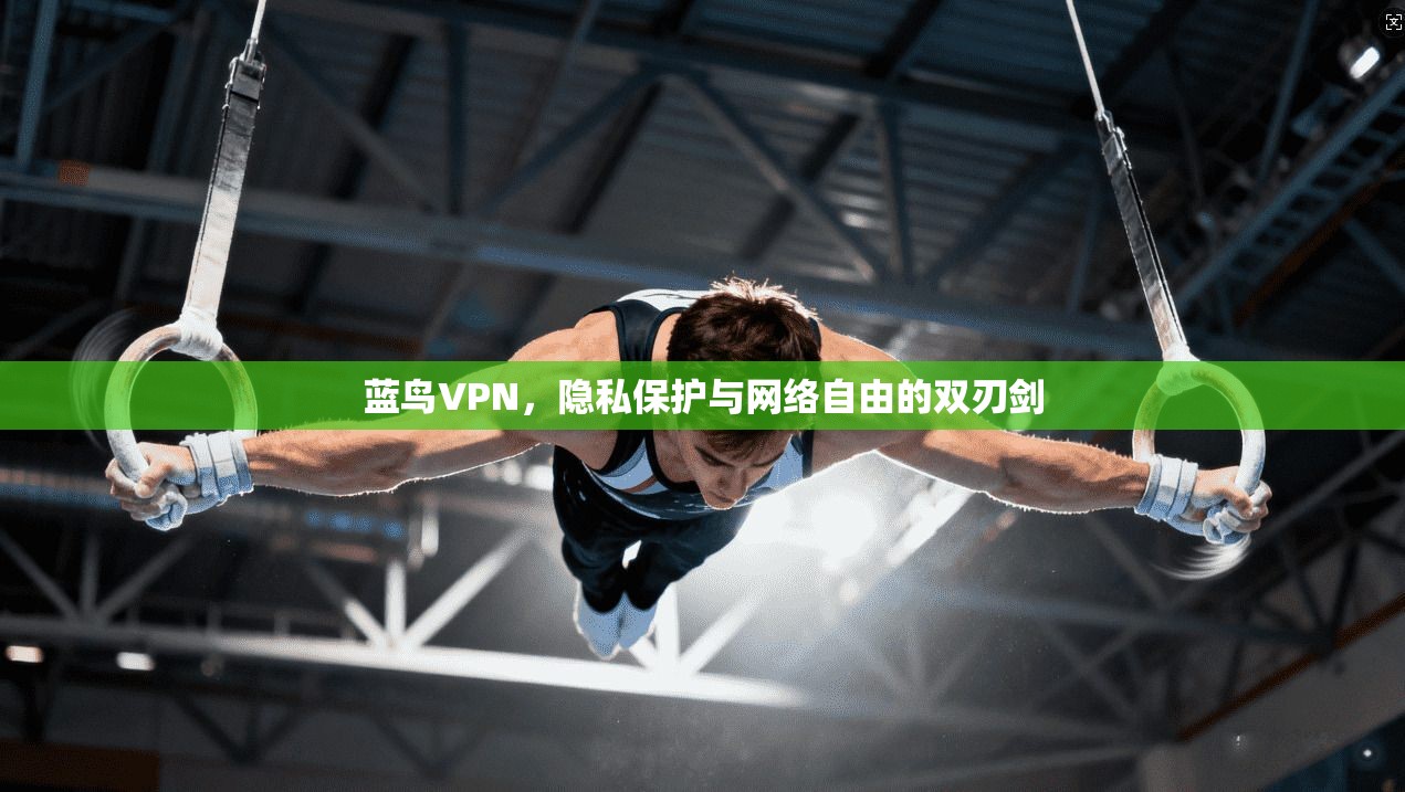 蓝鸟VPN，隐私保护与网络自由的双刃剑