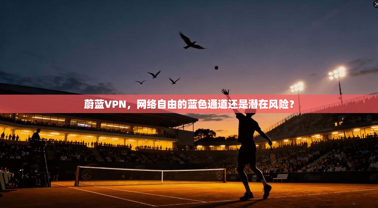 蔚蓝VPN，网络自由的蓝色通道还是潜在风险？