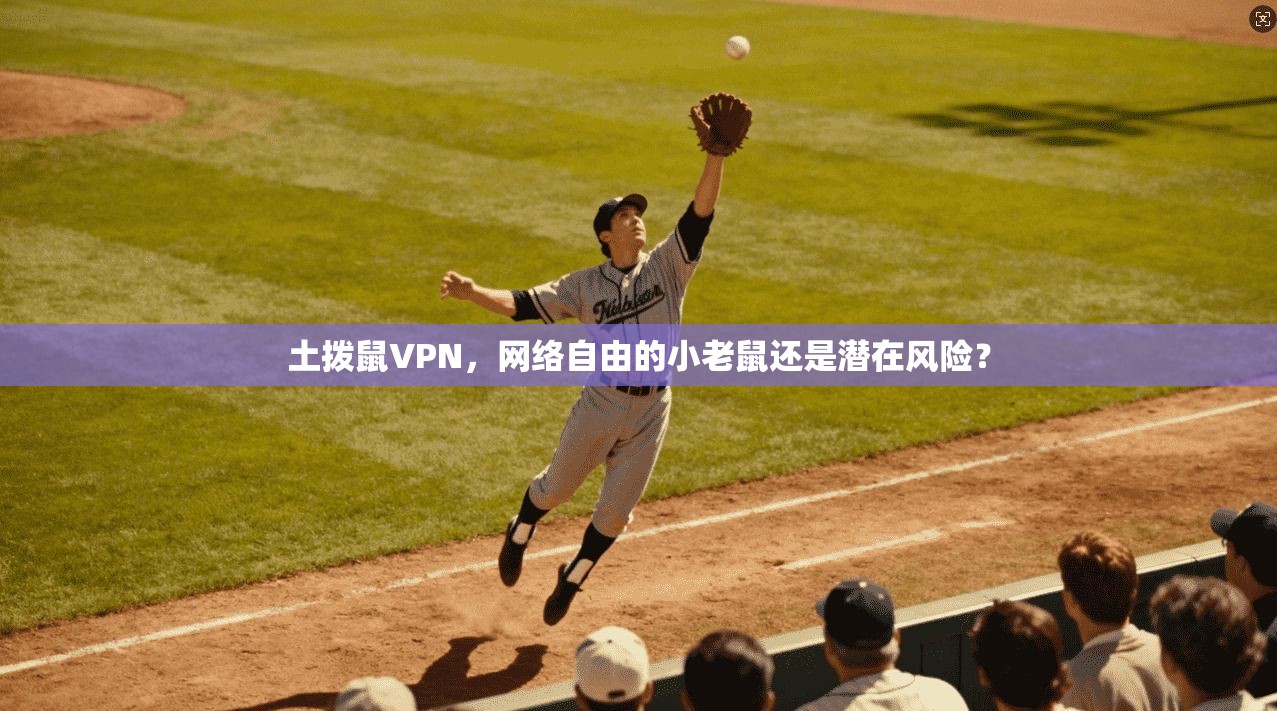 土拨鼠VPN，网络自由的小老鼠还是潜在风险？