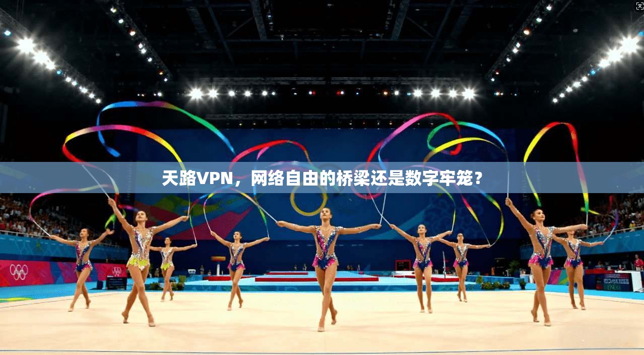 天路VPN，网络自由的桥梁还是数字牢笼？