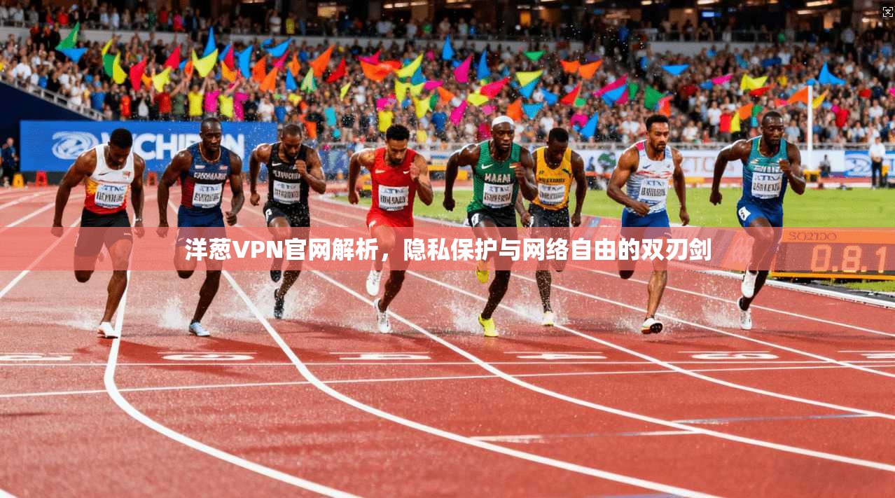 洋葱VPN官网解析，隐私保护与网络自由的双刃剑
