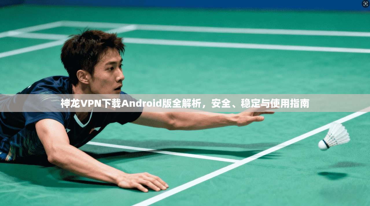 神龙VPN下载Android版全解析，安全、稳定与使用指南