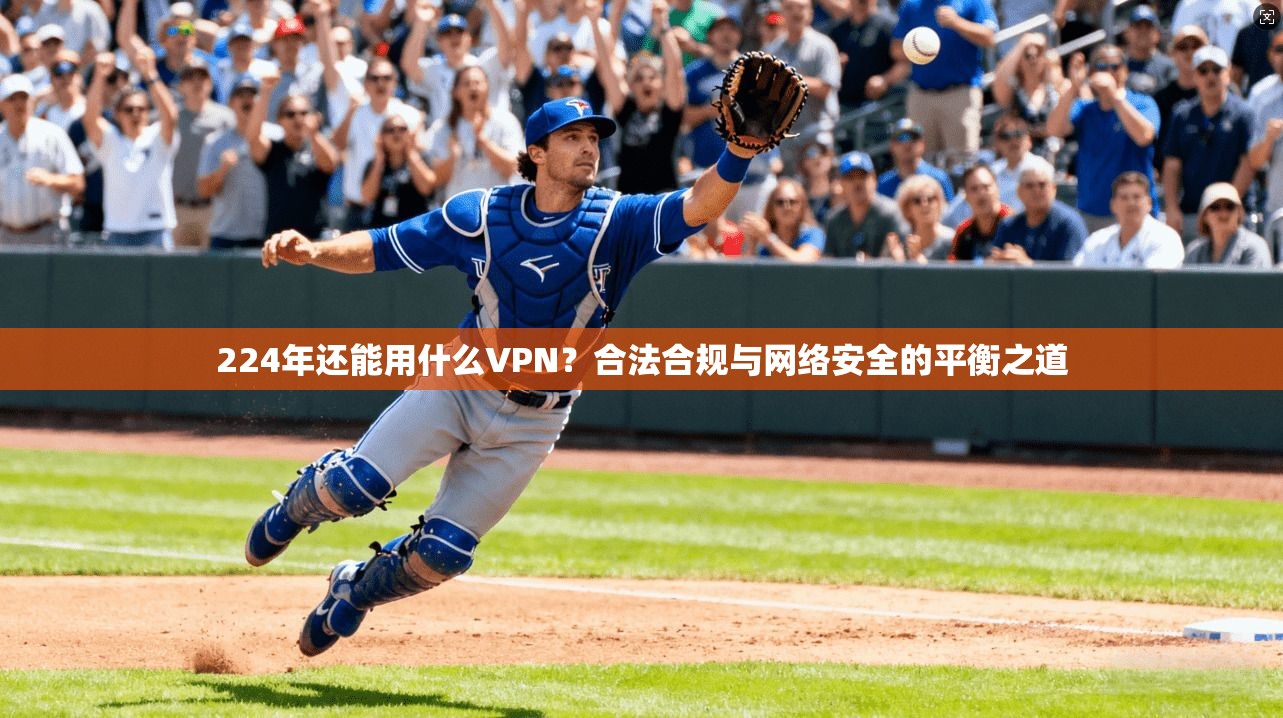 224年还能用什么VPN？合法合规与网络安全的平衡之道