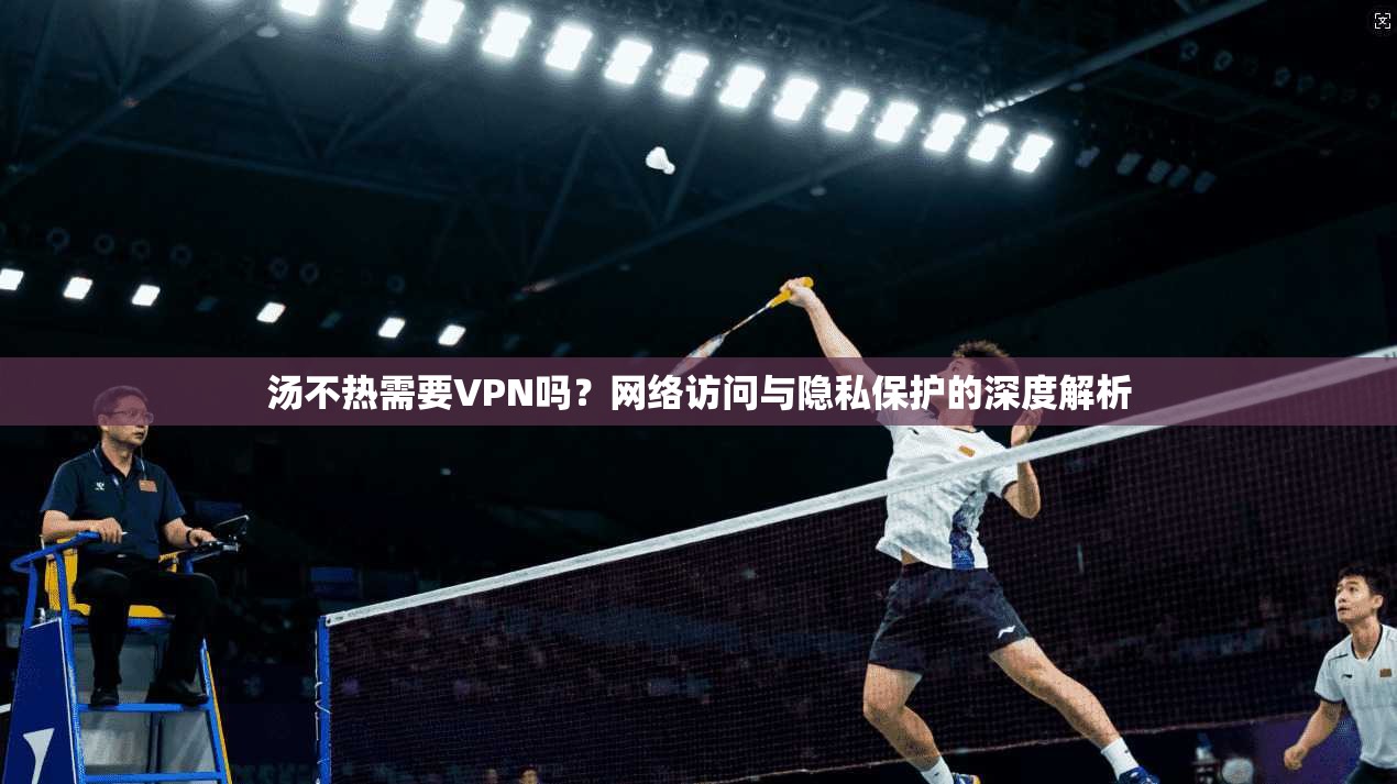 汤不热需要VPN吗？网络访问与隐私保护的深度解析