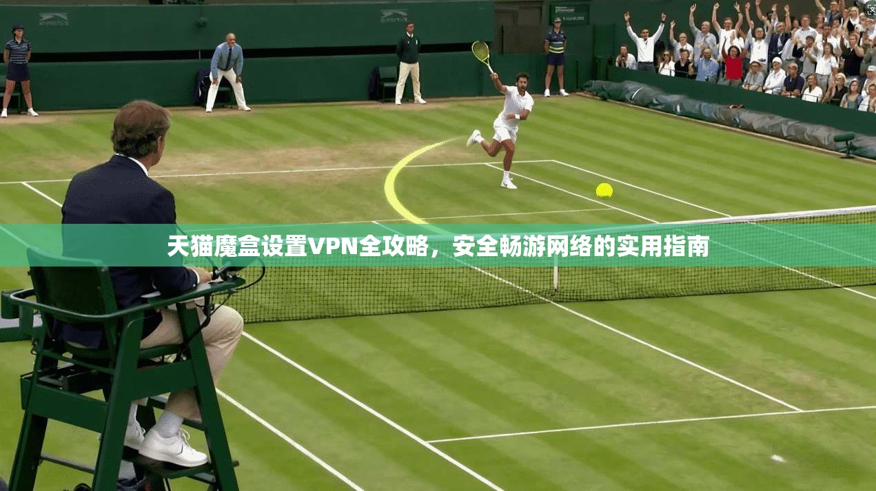 天猫魔盒设置VPN全攻略，安全畅游网络的实用指南
