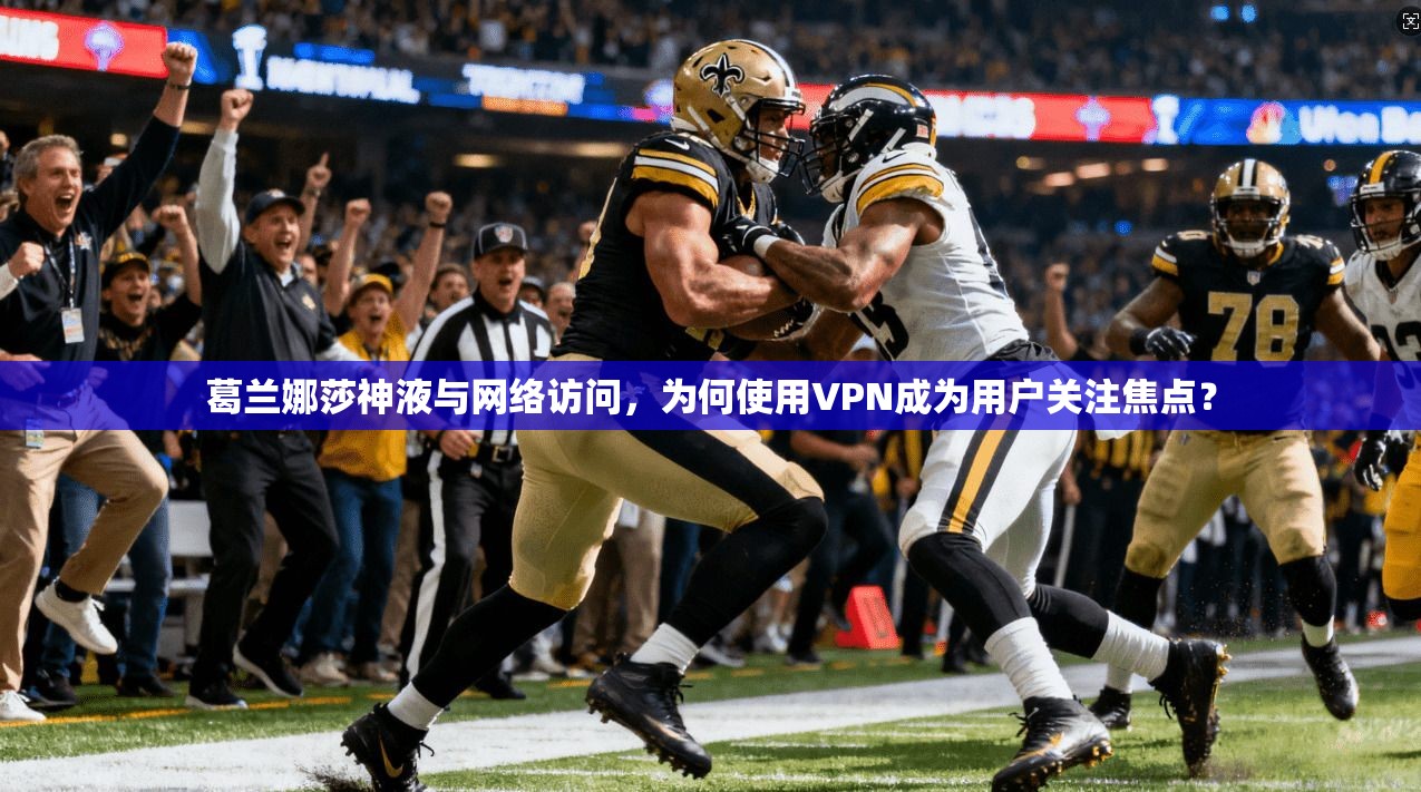 葛兰娜莎神液与网络访问，为何使用VPN成为用户关注焦点？
