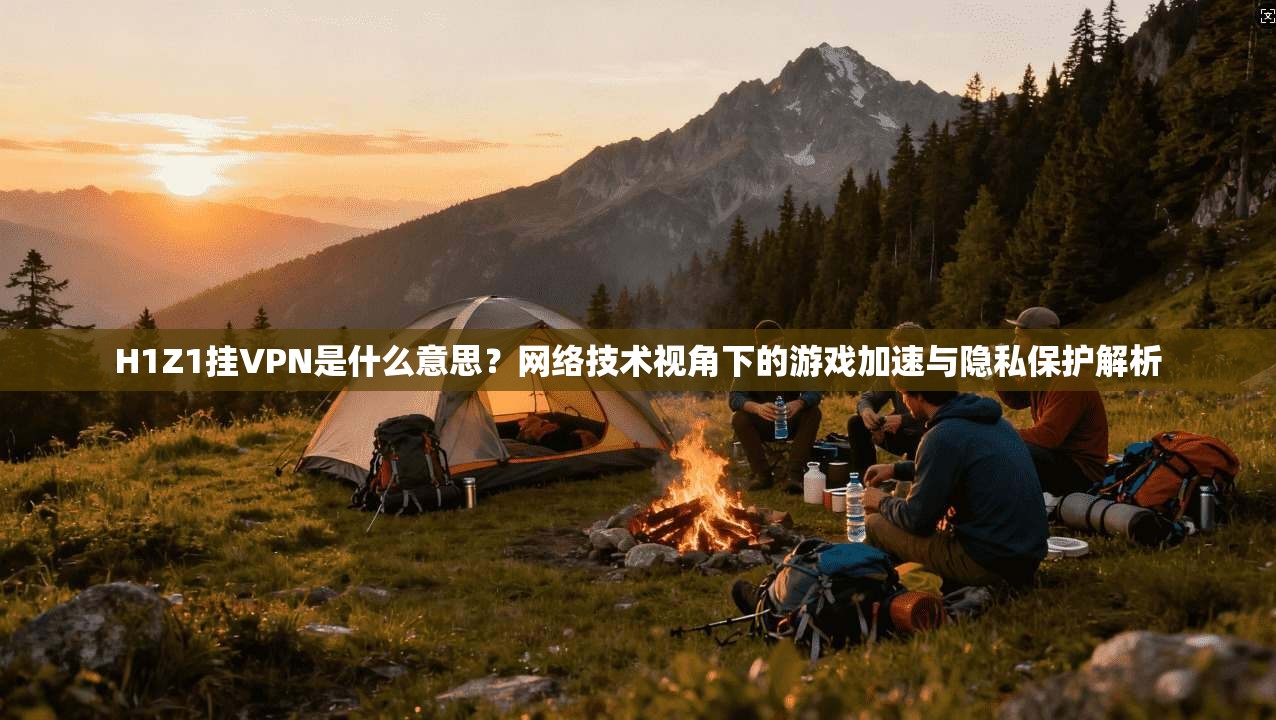 H1Z1挂VPN是什么意思？网络技术视角下的游戏加速与隐私保护解析