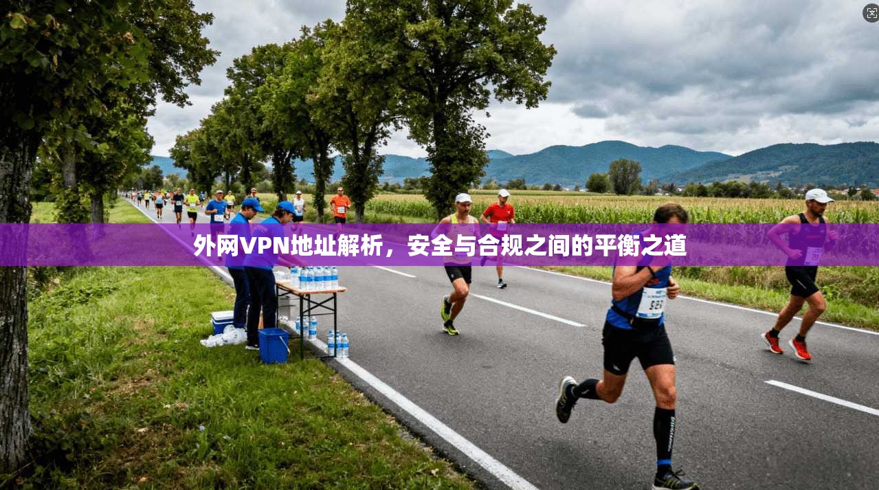 外网VPN地址解析，安全与合规之间的平衡之道