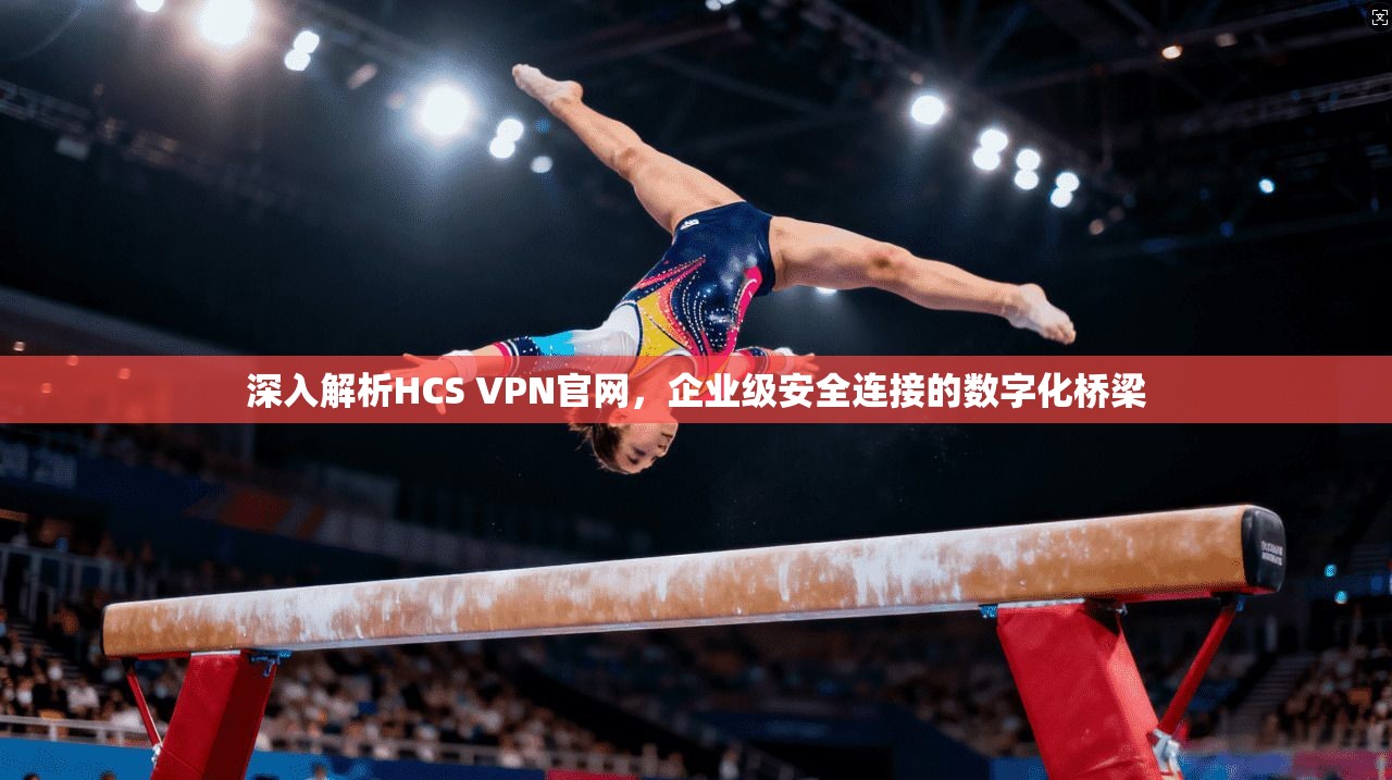 深入解析HCS VPN官网，企业级安全连接的数字化桥梁