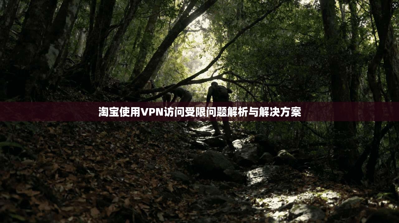 淘宝使用VPN访问受限问题解析与解决方案