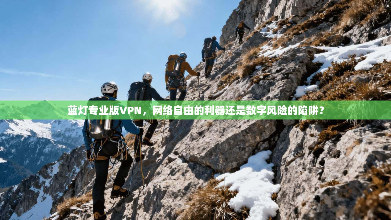 蓝灯专业版VPN，网络自由的利器还是数字风险的陷阱？