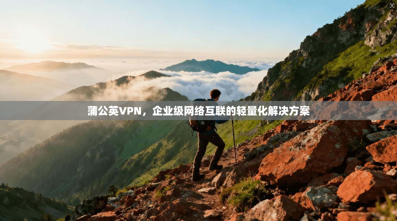 蒲公英VPN,企业级网络互联的轻量化解决方案 蒲公英VPN,企业级网络互联的轻量化解决方案