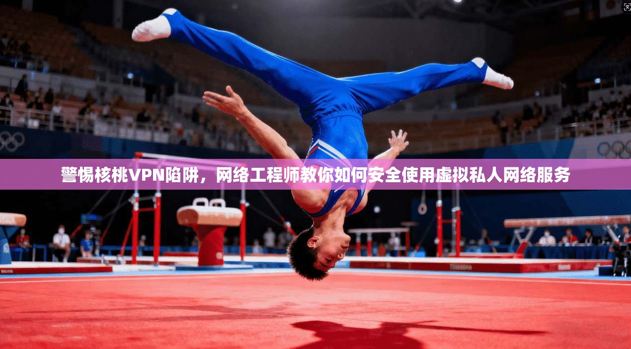 警惕核桃VPN陷阱，网络工程师教你如何安全使用虚拟私人网络服务