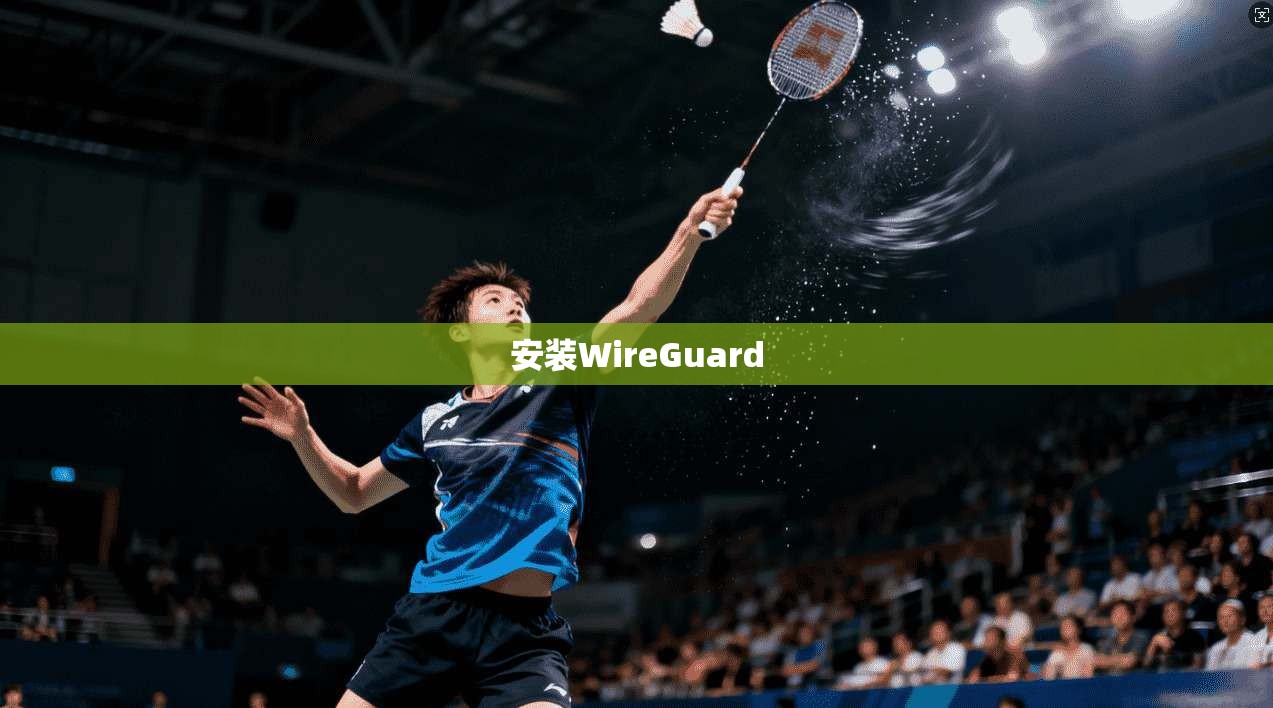 安装WireGuard