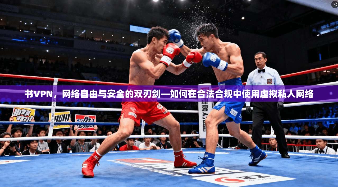书VPN，网络自由与安全的双刃剑—如何在合法合规中使用虚拟私人网络