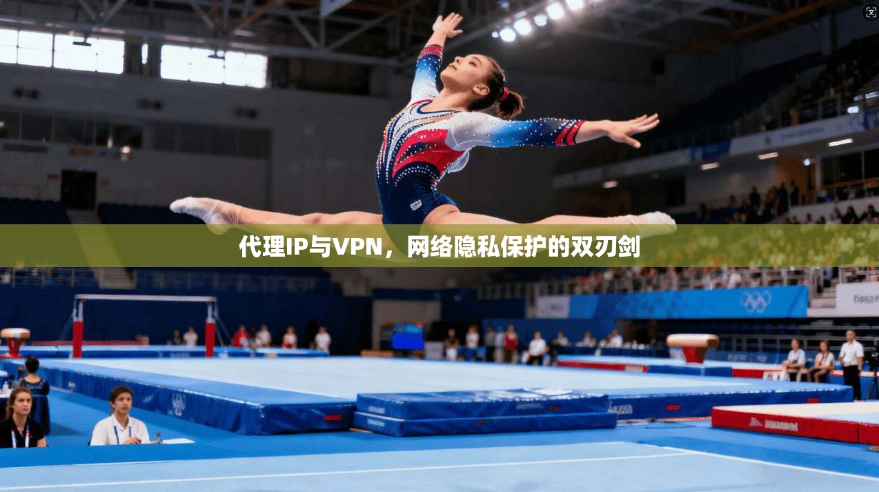 代理IP与VPN，网络隐私保护的双刃剑