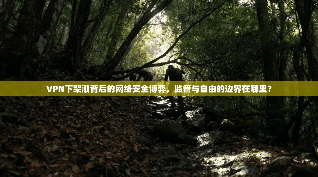 VPN下架潮背后的网络安全博弈，监管与自由的边界在哪里？