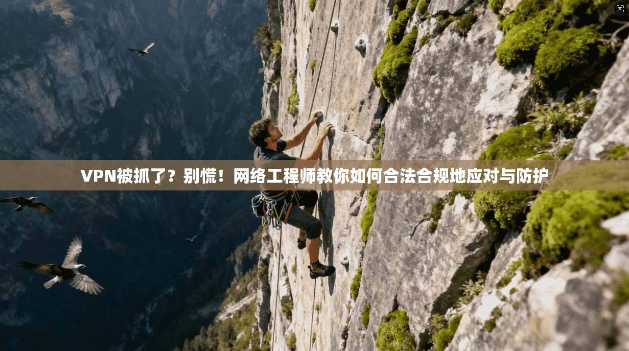 VPN被抓了？别慌！网络工程师教你如何合法合规地应对与防护