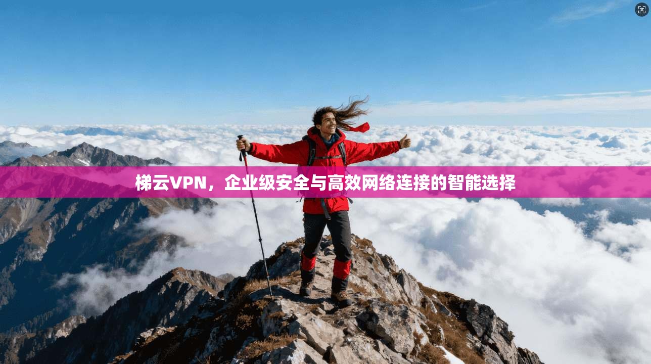 梯云VPN，企业级安全与高效网络连接的智能选择