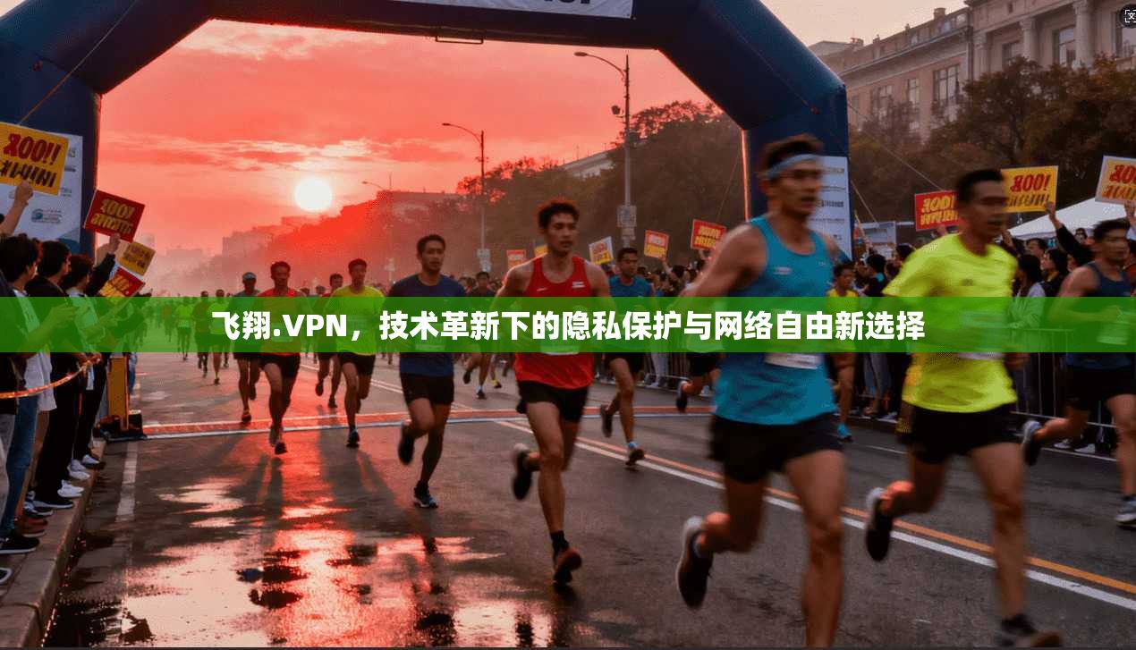 飞翔.VPN，技术革新下的隐私保护与网络自由新选择