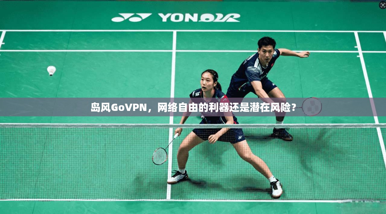 岛风GoVPN，网络自由的利器还是潜在风险？